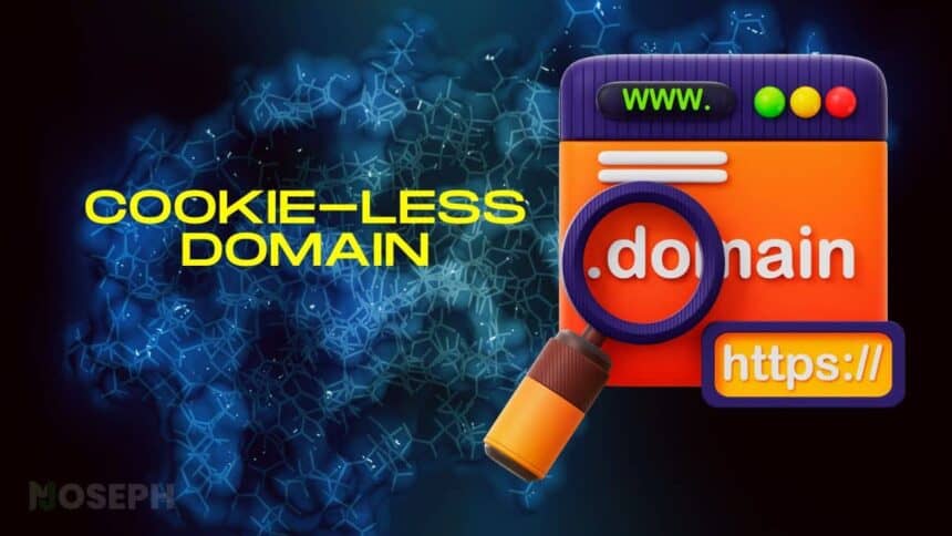 Why you need a cookie-less domain: How To setup